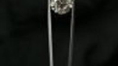 Компания "Руиз" собирается строить ограночную фабрику