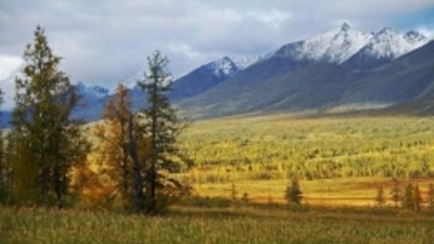 Национальный парк Коми спасен