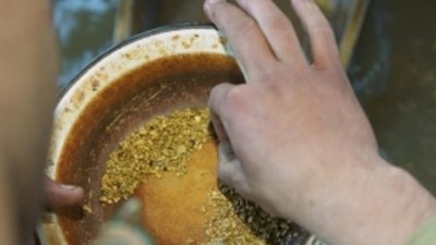 Горняки Ягоднинского района намерены выполнить план по добыче золота