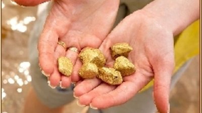 Томская область намерена возродить золотодобычу