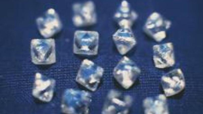 Инициативе развития алмазной отрасли выдан грант от Ассоциации производителей и импортеров бриллиантов Америки.