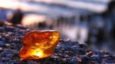 Правительство Калининградской области планирует решить проблемы янтарной отрасли путем подготовки в БФУ «янтарных бизнесменов»