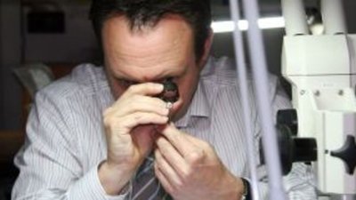 Все грани обмана. Как отличить бриллиант от синтетики