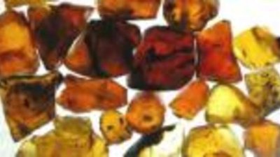 Гостей Калининграда обучат работе с янтарем