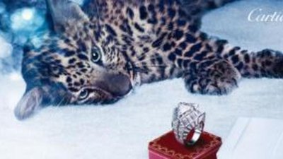 Cartier показал свою новую зимнюю сказку