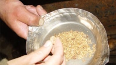Красноярский край - лидер золотодобычи