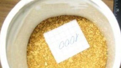 Житель Комсомольска-на-Амуре пытался продать 3 кг золота через газетные объявления