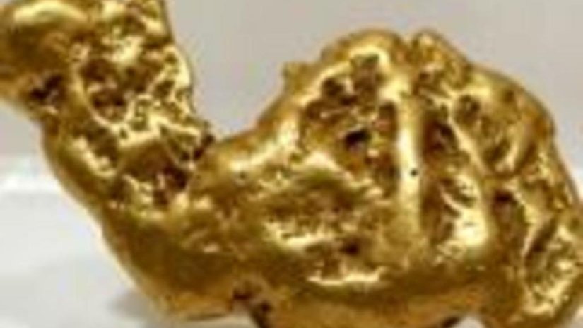 AngloGold Ashanti купила Golden Cycle Gold Corporation