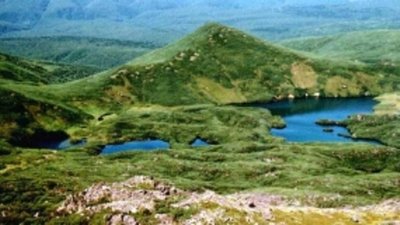 В недрах Кунашира 50 тонн золота