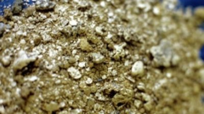 Кострома войдет в сегмент золотодобытчиков