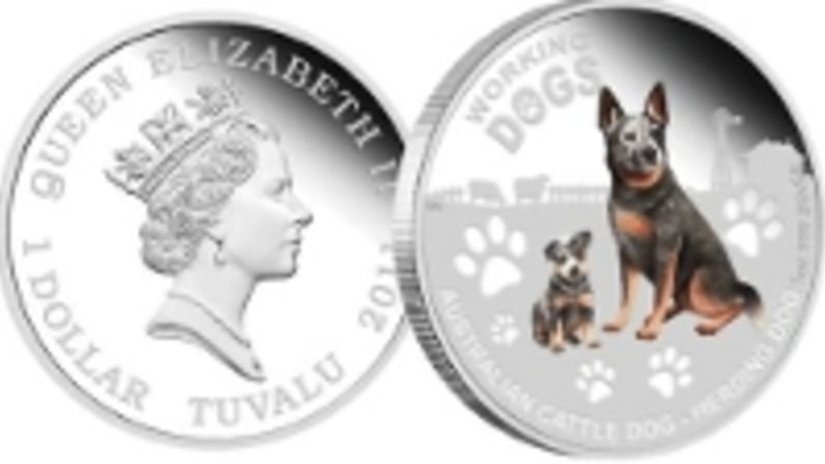 Австралийская пастушья собака на монете