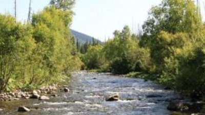 Кузбасское месторождение реки Базас прошло через аукцион