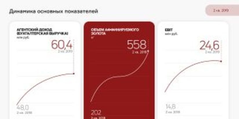 Финансовый анализ «ПЮДМ» за 6 мес. 2019 г.