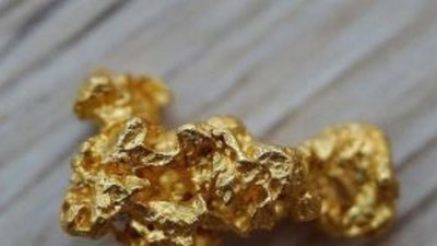 Дмитрий Медведев разрешил китайцам добывать золото в Сибири