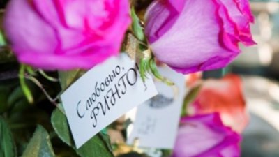 Сегодня, 21 июля, РИНГО отмечает свой День рождения!
