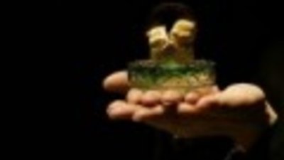 Золотые свинки - в магазинах Гонконга