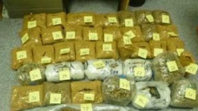 Таможенники Калининграда изъяли в поезде контрабандный янтарь на 4,5 млн рублей