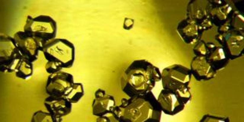 С августа крупнейший производитель бриллиантов в РФ сократил закупки алмазного сырья на 20-30%