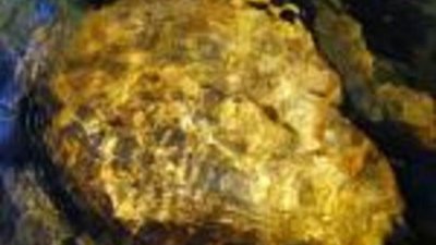 На Колыме изъято незаконно добытое золото