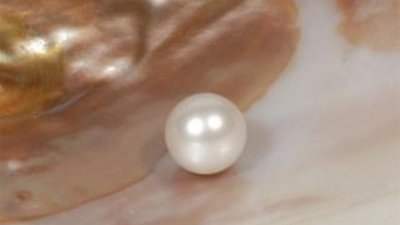 Жемчужный дом Mikimoto русскую линию