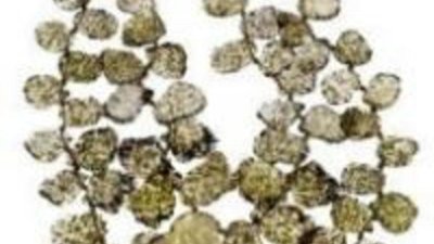 «Демократичные» украшения Дарби Скотт