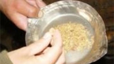 В ходе операции "Самородок-2008" задержаны двое старателей