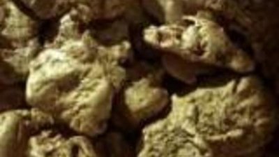 Операция "Самородок" набирает обороты