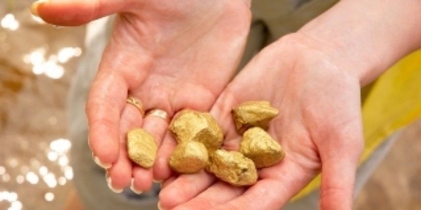 Хабаровский край в 2013 году добыл около 21 тонны золота