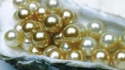 Кристина Агилера и Carrera - новый взаимовыгодный союз