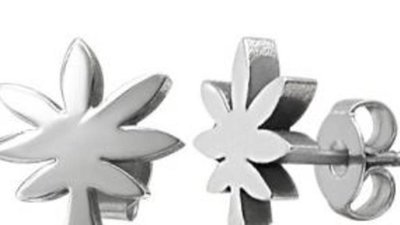 Тульским предпринимателям грозят штрафы за серьги с коноплей ﻿