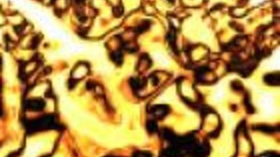 "Сусуманзолото" добыло более 3 тонн золота