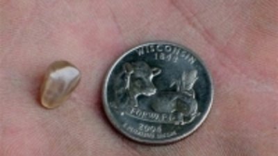 В парке «Алмазный кратер» найден 3,92-каратный алмаз