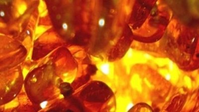 Янтарный эксперимент завершается