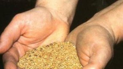 "Сусуманзолото" консолидировало 75% в ЗРК "Омчак"