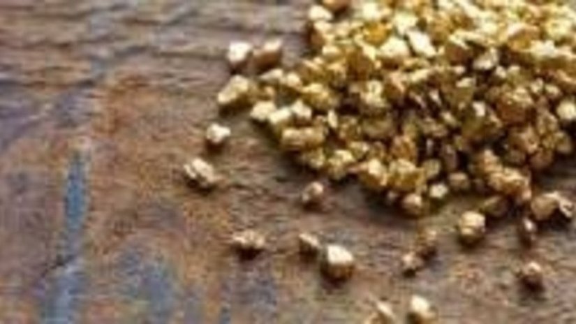 Житель Забайкалья хотел вывезти 11 кг золота в Китай