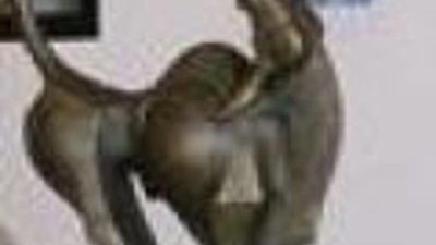 Открылась выставка художника - ювелира Алексея Цараева