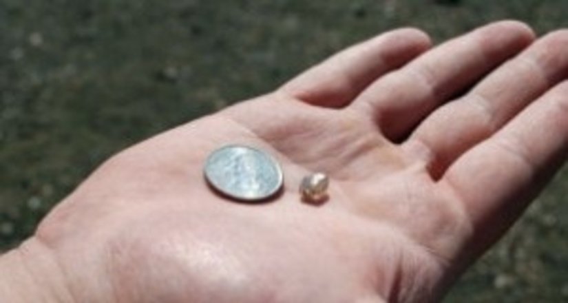 В «Парке алмазов» найден камень в 2,89 карата