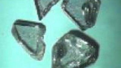 Western mines company  инвестирует в огранку алмазов