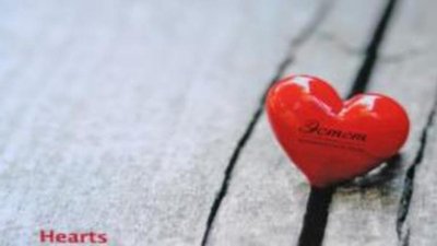 ЮД "Эстет" и Константин Крюков презентовали вчера совместный проект