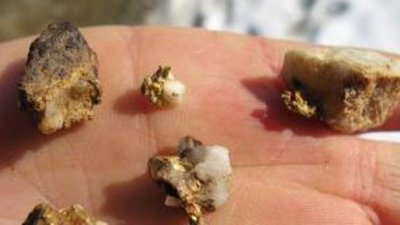 Житель Ингушетии пытался вывезти из Якутии почти 1,5 кг рудного золота