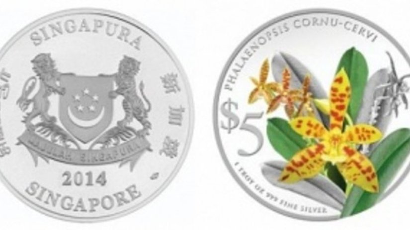 Фаленопсис оленерогий будет показан на монете Сингапура