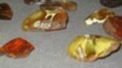 Калининградские янтарщики вынуждены переплачивать за доставку своей продукции в Россию