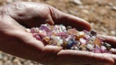 У министерства природных ресурсов Квебека появился собственный геммолог