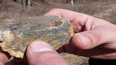 «АЛРОСА» и Botswana Diamonds закончили полевой этап по PL117