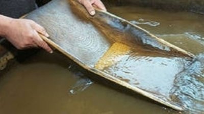 Иркутская область увеличила в 2013 году добычу золота на 8%