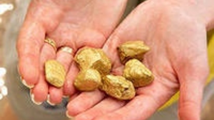 Чукотка к 2019 г может добывать до 39 тонн золота