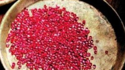 Gemfields выпускает акции для оплаты приобретения лицензионного участка в Мозамбике