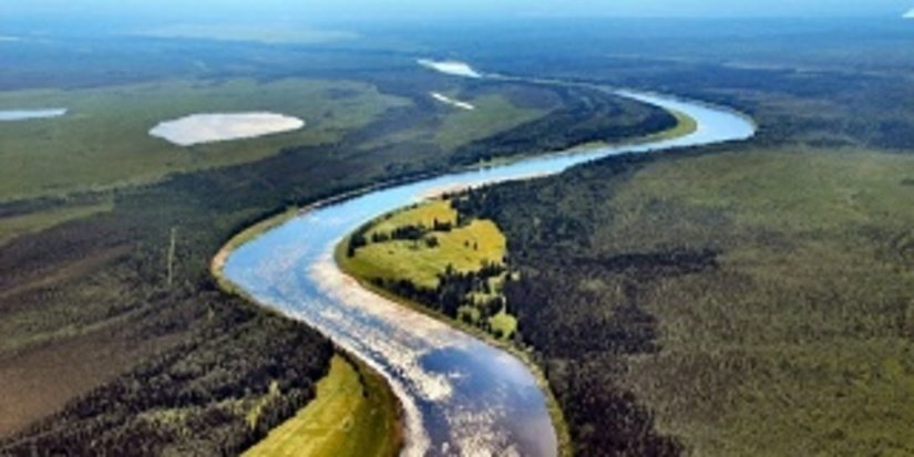 Национальный парк Коми спасли от золотодобытчиков