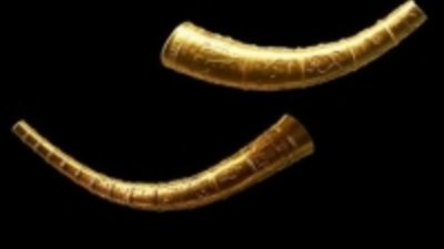 Из музея Дании украдены серебряные рога викингов