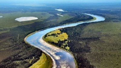Национальный парк Коми спасли от золотодобытчиков